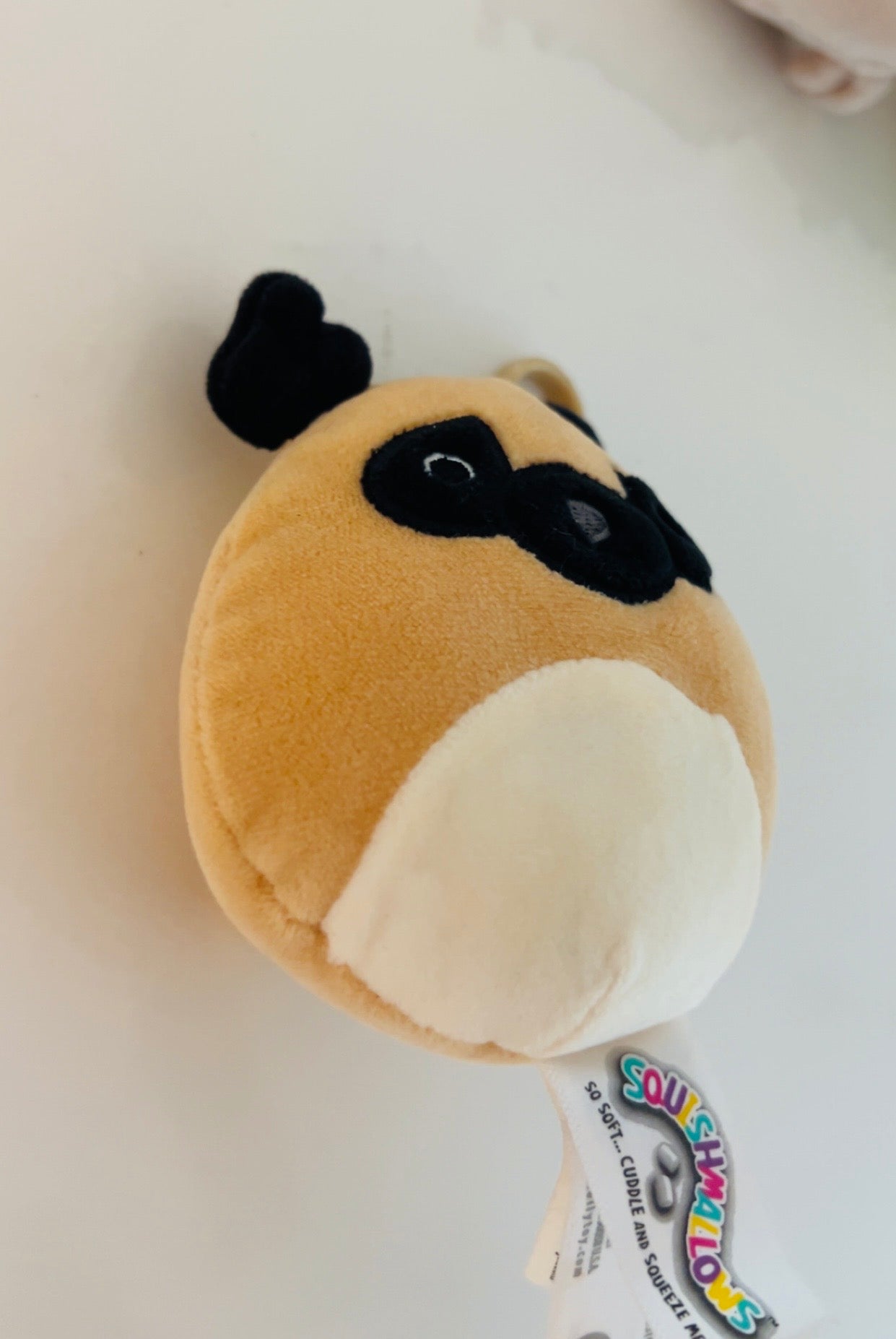 Doggy Squishmallow
