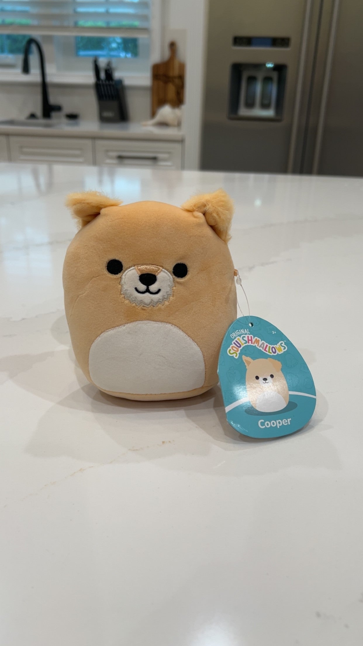 Beige Squishmallow Puppy Dog