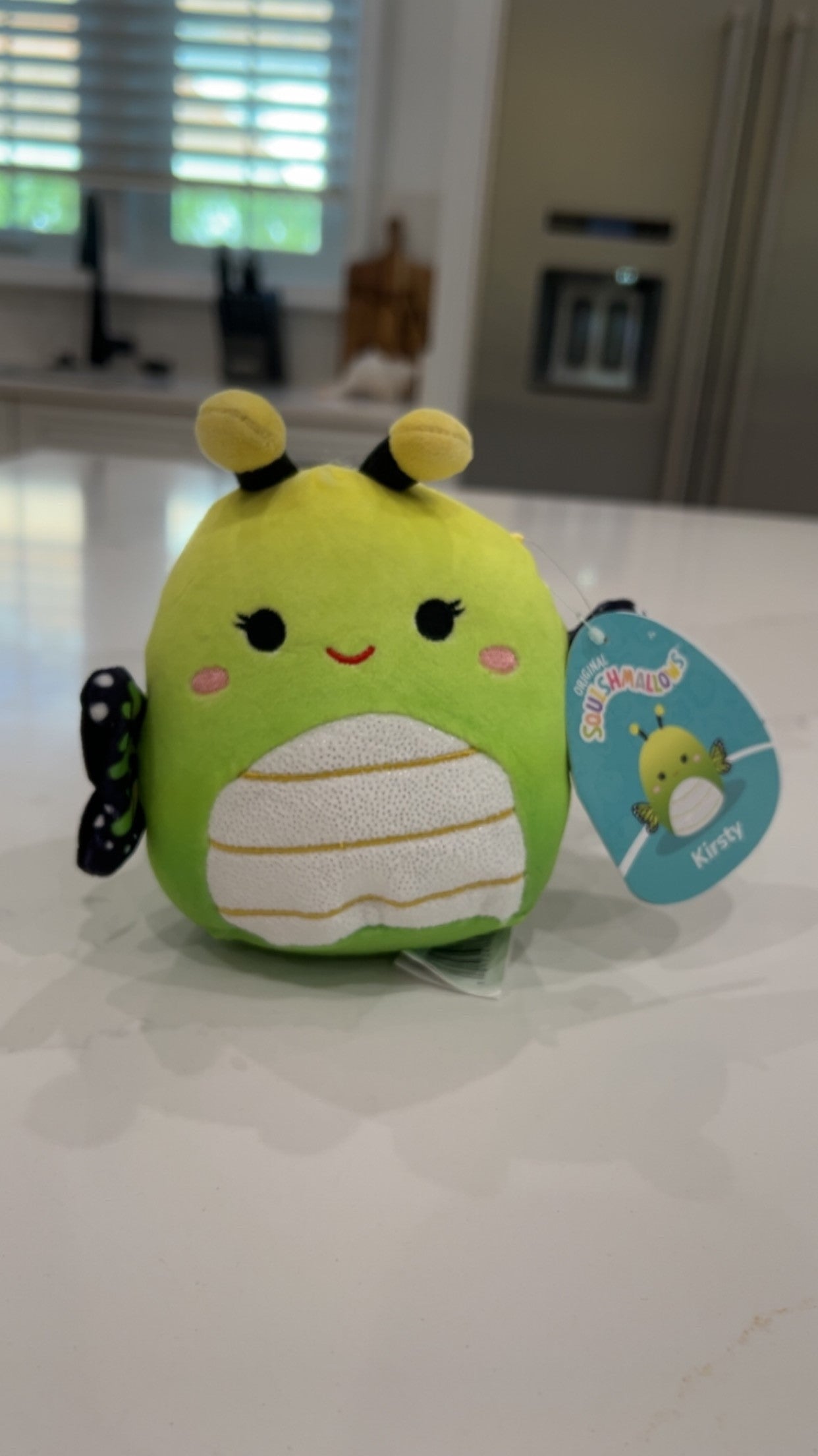 Green Butterfly Squishmallow