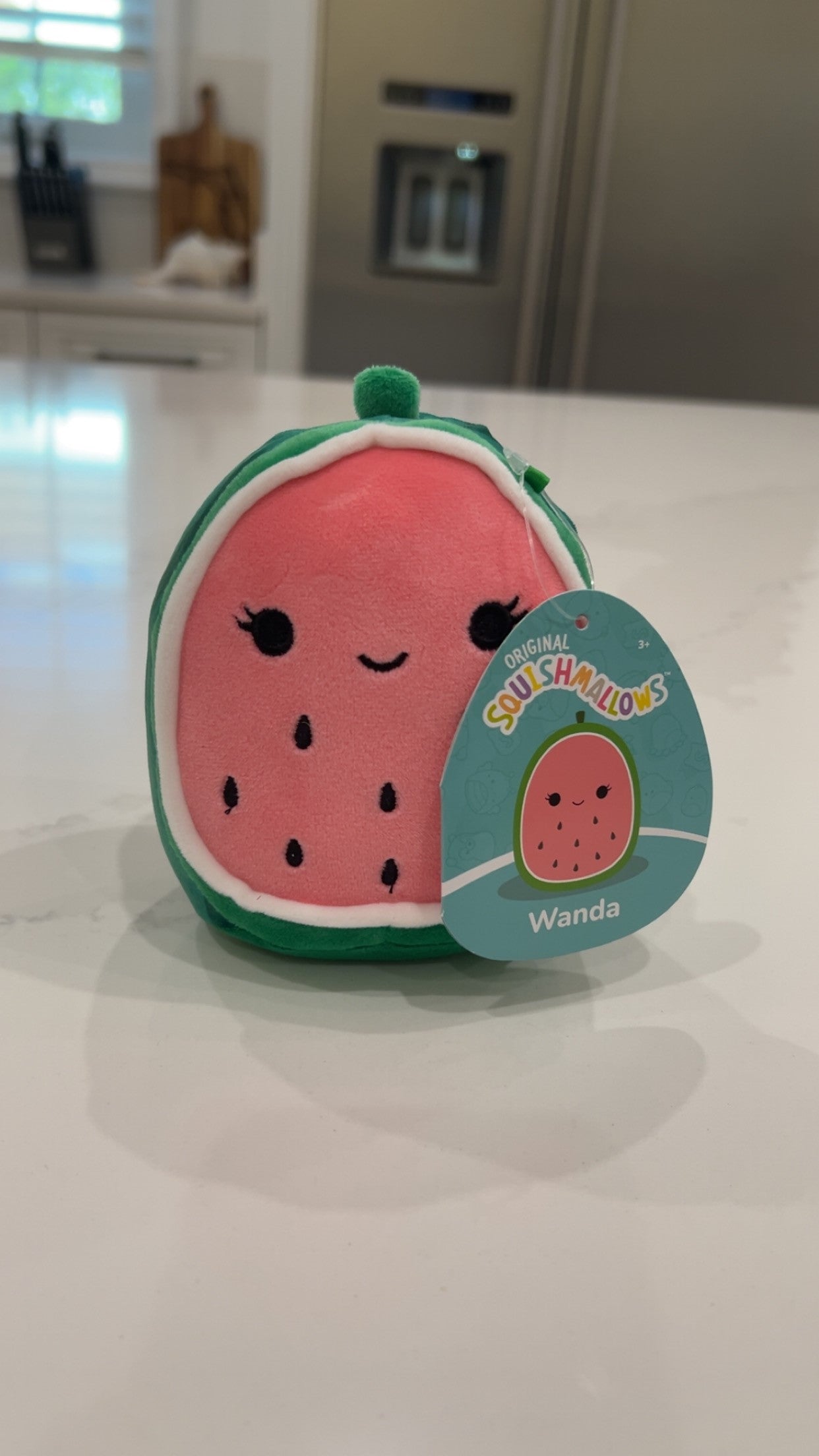 Watermelon Squishmallow