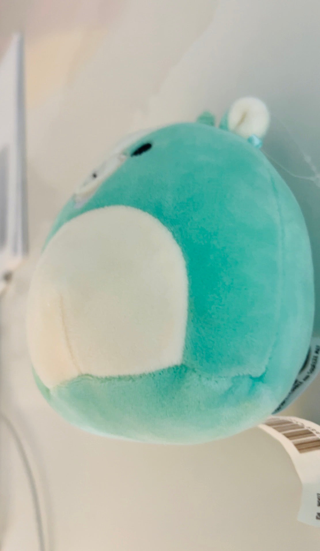 Teal Goat Squishmallow