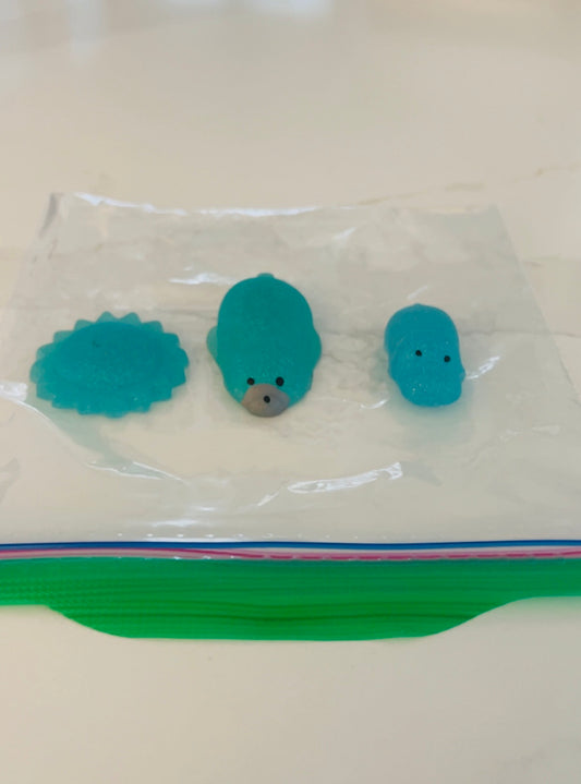 Blue Mochi's