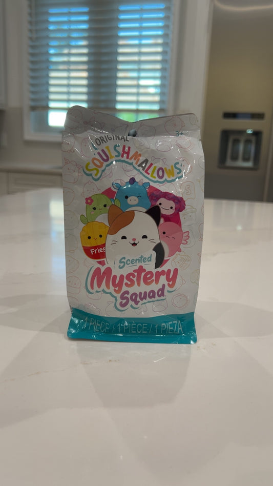 Mystery Squishmallow Blind Bag
