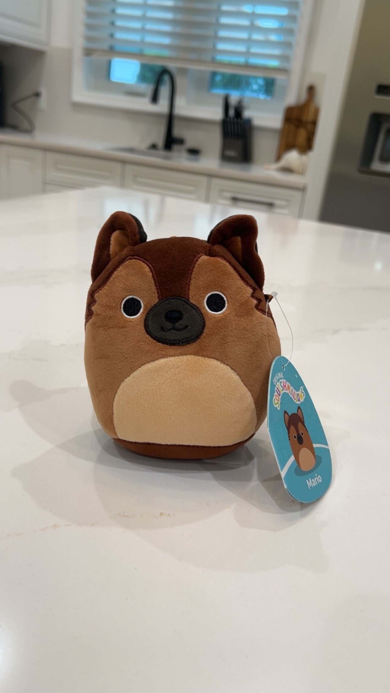 Brown Puppy Dog Squishmallow