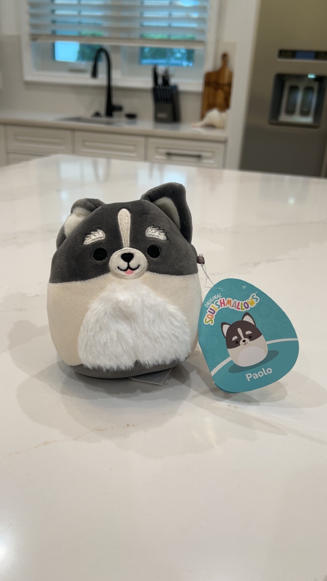 Gray & White Puppy Dog Squishmallow